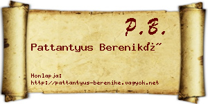 Pattantyus Bereniké névjegykártya